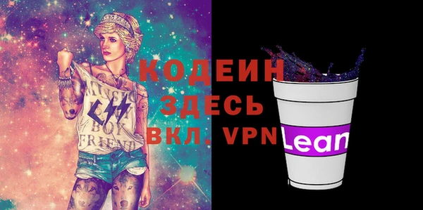 молекула духа Арсеньев