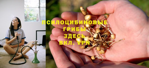 амф Богородск