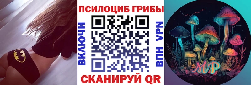 закладки  Петропавловск-Камчатский  Галлюциногенные грибы мухоморы 